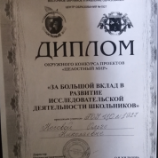 Диплом окружного конкурса проектов "Целостный мир".