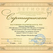 Сертификат:"Как проверять задание 27(сочинение) ЕГЭ"