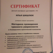 Сертификат 2