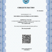 Экзамен в МЦКО, уровень "Экспертный"