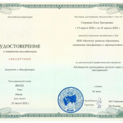 Особенности преподавания русского языка как иностранного