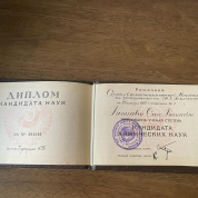 Диплом кандидата химических наук