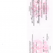 Диплом кандидата физико-математических наук