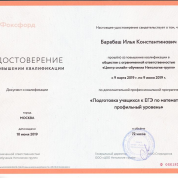 Подготовка учащихся к ЕГЭ (профильный уровень)