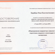 Формирование предметных навыков при подготовке учащихся к олимпиадам по математике