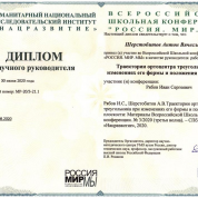 Диплом научного руководителя