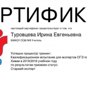 Сертификат эксперта ОГЭ