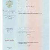 Приложение к диплому