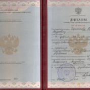 Диплом РГСУ