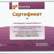Сертификат Школы 5-звездочных продаж Майкла Бэнга, второй