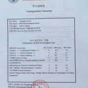 Документ об дополнительном образовании