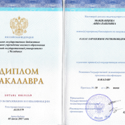 Диплом Регионоведение