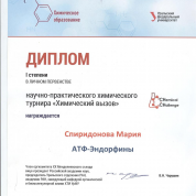 Диплом 1 степени