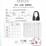 HSK 5 level
