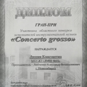 Диплом ученика с конкурса