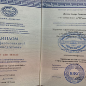 Переводчик английского языка в сфере профессиональной коммуникации 