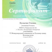 Участник VI Международной олимпиады по русскому языку. Культура речи