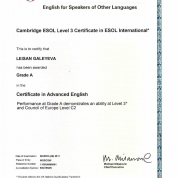 CAE certificate