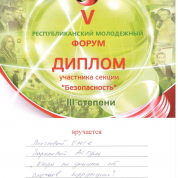 Диплом финалиста форума "Наш Татарстан"