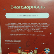 Благодарность от организаторов FIFA-2018