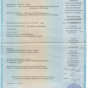 Приложение к диплому