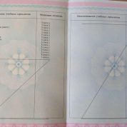 Итоговые оценки в медико-биологическом лицее-интернате