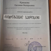 Диплом о высшем образовании по специальности "Социальная работа с разными слоями населения"