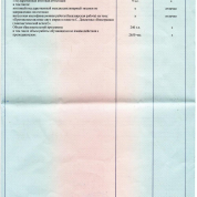 Диплом бакалавра