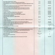 Диплом магистра