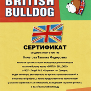 British Bulldog