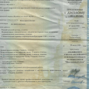 Диплом вкладыш 