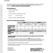 Сертификат DELE B2