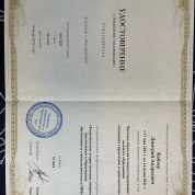 Повышение квалификации "Инклюзивное образование обучающихся с инвалидностью и ОВЗ"