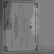 Diplome superieur de francais des affaires