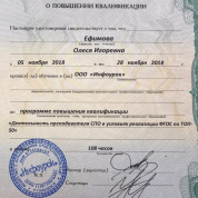 Деятельность преподавателя СПО в условиях реализации ФГОС по ТОП-50