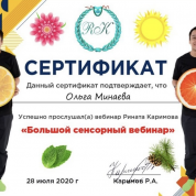 Большой сенсорный вебинар