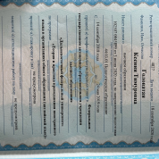 Диплом о профессиональной переподготовке "Теория и практика преподавания иностранного языка в организациях общего образования"