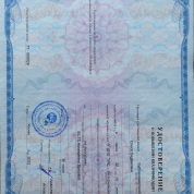 IELTS Assessment Specialist