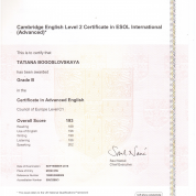 Cambridge English Level 2 Certificate in ESOL International (Advanced)