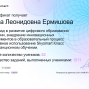 Сертификат Skysmart