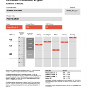 Certificate in Advanced English