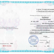 «Работа с детьми с синдромом дефицита внимания и гиперактивности (СДВГ)».