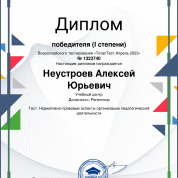 Педагогическая деятельность