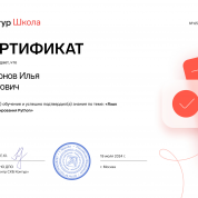 Язык программирования Python