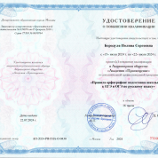 АО «Академия "Просвещение"», программа «Правила орфографии: подготовка школьников к ЕГЭ и ОГЭ по русскому языку»