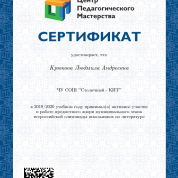 Сертификат жюри муниципального этапа ВсОШ по литературе, 2020 г.