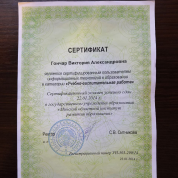 Сертификат по использованию информационных технологий в образовании