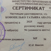 Министерство образования Республики Беларусь республиканский институт контроля знаний, централизованное тестирование по русскому языку – 96 баллов