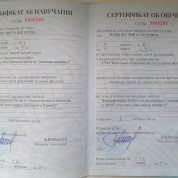 Формирование беглого и осознанного чтения у детей младшего школьного возраста