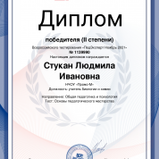 Диплом Всероссийского тестирования педагогического мастерства